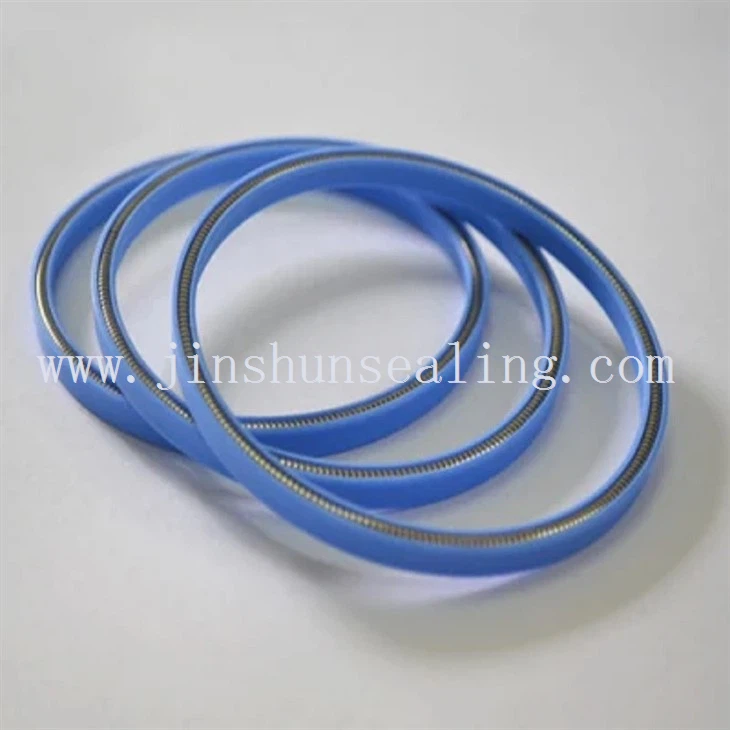 Oil Spring Energized Seal